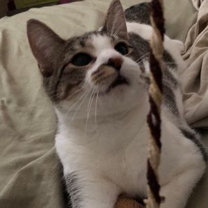 Meet your Posher, Madison